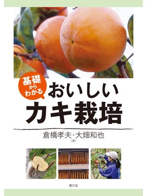 cover image of 基礎からわかる　おいしいカキ栽培